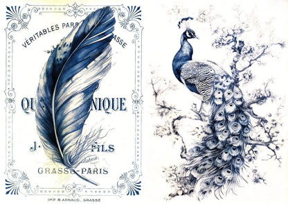 Paper Designs, 2024 Spring Release, Rice Paper Collection, Set of 10, Vintage Birds, Peacock, Background, Shabby Chic, Frames, A4 8.3 X 11.7 Paper Designs