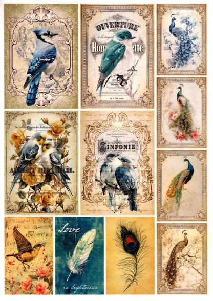 Paper Designs, 2024 Spring Release, Rice Paper Collection, Set of 10, Vintage Birds, Peacock, Background, Shabby Chic, Frames, A4 8.3 X 11.7 Paper Designs