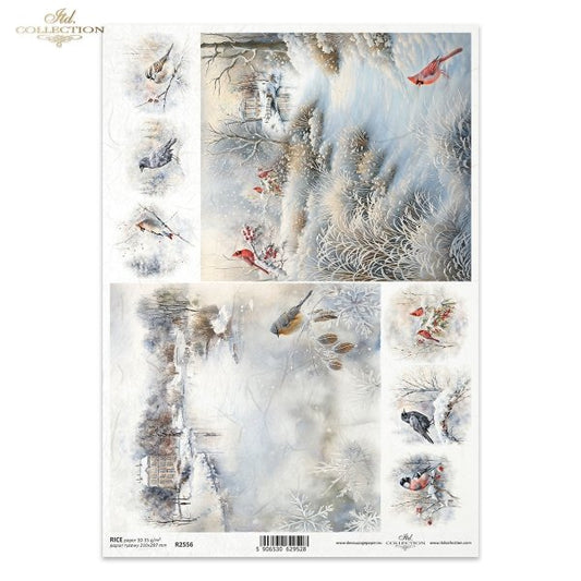 ITD Collection, Rice Paper, Winter, Birds, Landscapes, Snow Scenes, Decoupage, Mixed Media, Squares, A4, R2556, 8.27x11.7