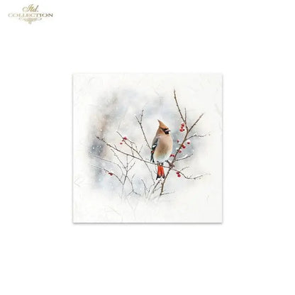 ITD Collection, Rice Paper, Mini Set, 6 sheets, Cardinals, Winter, Birds, Snow, RSM047, 5x8, Snow ITD Collection
