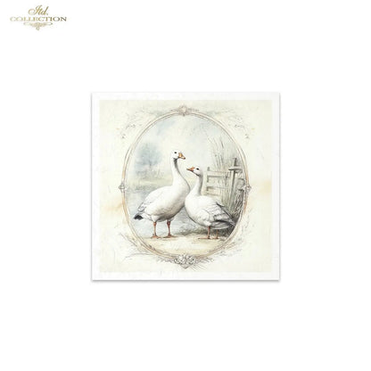 ITD Collection, Rice Paper, Mini Set, Ducks, Geese, Ducklings, Rounds, Floral, 6 Sheets, 5x8, RSM119, Decoupage, Mixed Media, RSM162 ITD Collection