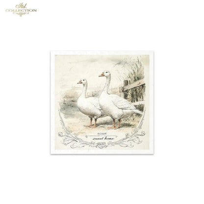 ITD Collection, Rice Paper, Mini Set, Ducks, Geese, Ducklings, Rounds, Floral, 6 Sheets, 5x8, RSM119, Decoupage, Mixed Media, RSM162 ITD Collection