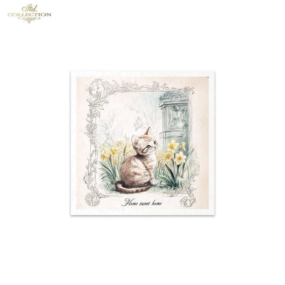 ITD Collection, Rice Paper, Mini Set, Cats, Kittens, Home Sweet Home, Rounds, Floral, 6 Sheets, 5x8, RSM119, Decoupage, Mixed Media, RSM165 ITD Collection