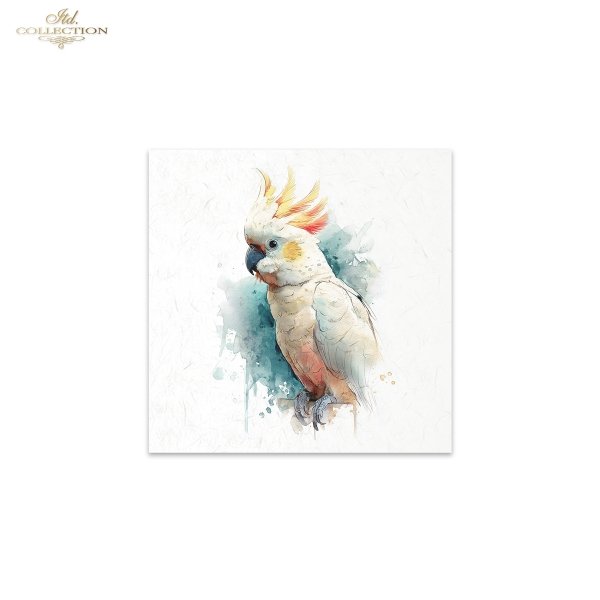 ITD Collection Rice Paper, Mini Set, Watercolor Hummingbirds, Toucan, Birds Motifs, 6 Sheets, 5x8, Decoupage, Mixed Media