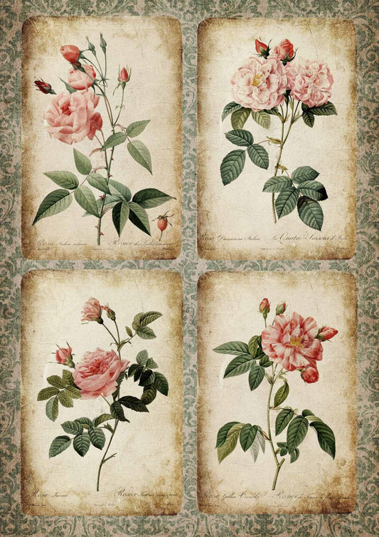 Decoupage Queen Rose Cards DQRP_0240-A4 Size: A4 - 8.3" X 11.7", Rice Paper for decoupage