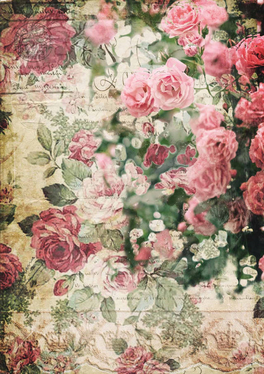 Decoupage Queen, Splash of Roses, Flowers, Floral, Pink, Wallpaper, Background, DQRP 0239, A4, Rice Paper, Decoupage 8.3" X 11.7"