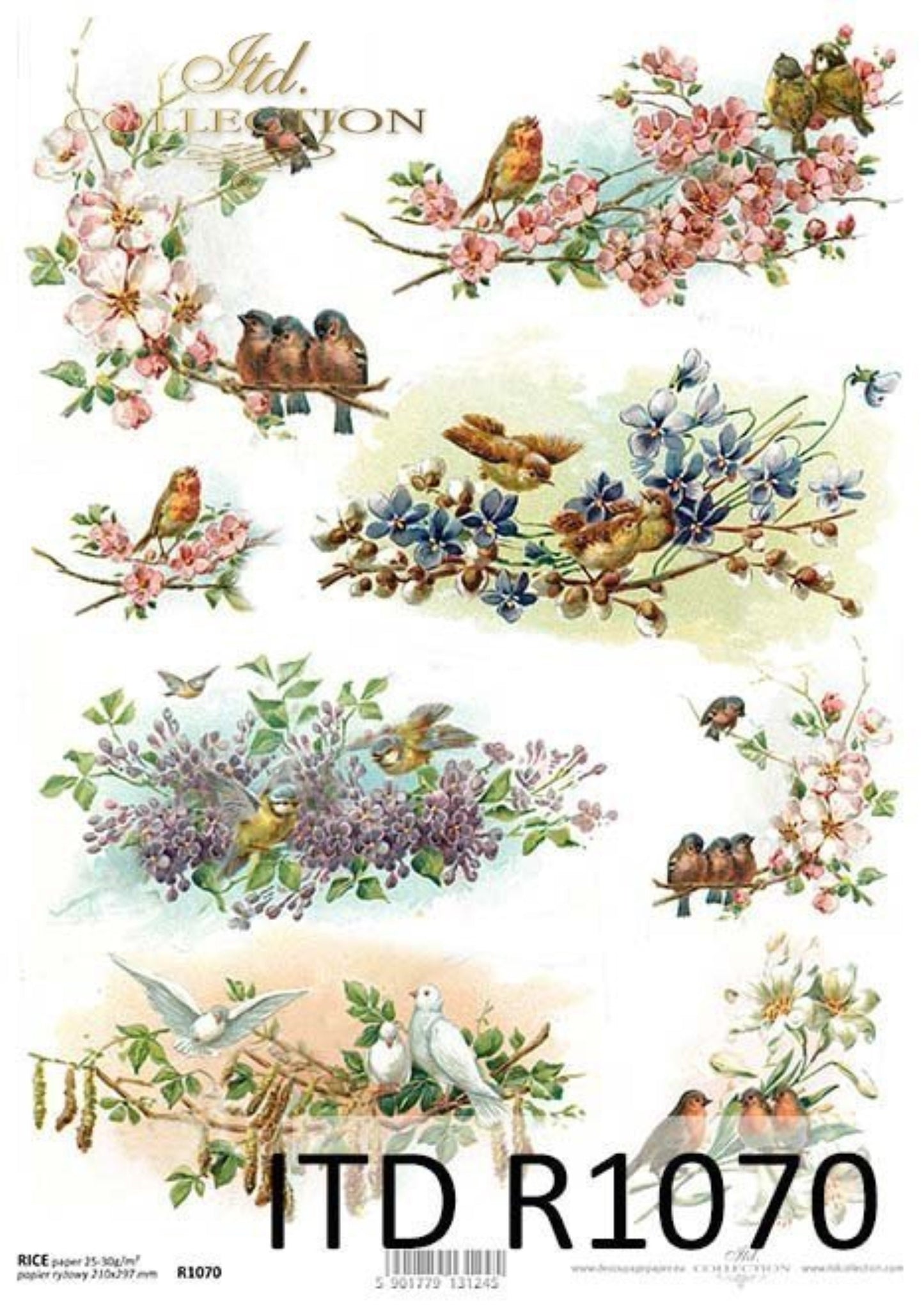 ITD Collection Rice Paper for Decoupage R1070, Size A4 - 210x297 mm, 8.27x11.7 inch, Shabby Chic, spring, birds, flowers