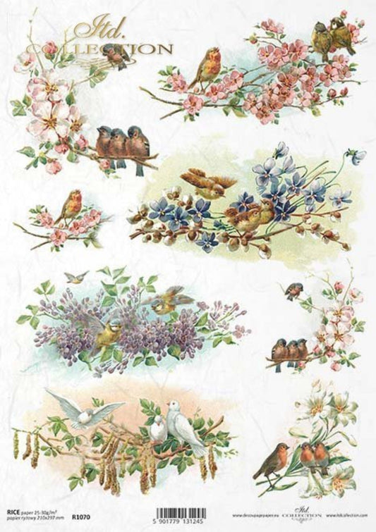 ITD Collection Rice Paper for Decoupage R1070, Size A4 - 210x297 mm, 8.27x11.7 inch, Shabby Chic, spring, birds, flowers