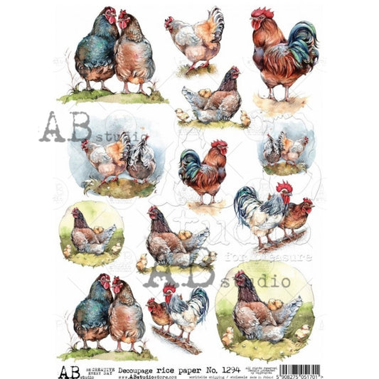 AB Studio Shabby Chic, Roosters, Hens, Chics, 1294, Size: A4 - 8.27 X 11.69 inches Rice Paper for Decoupage Imported from Poland