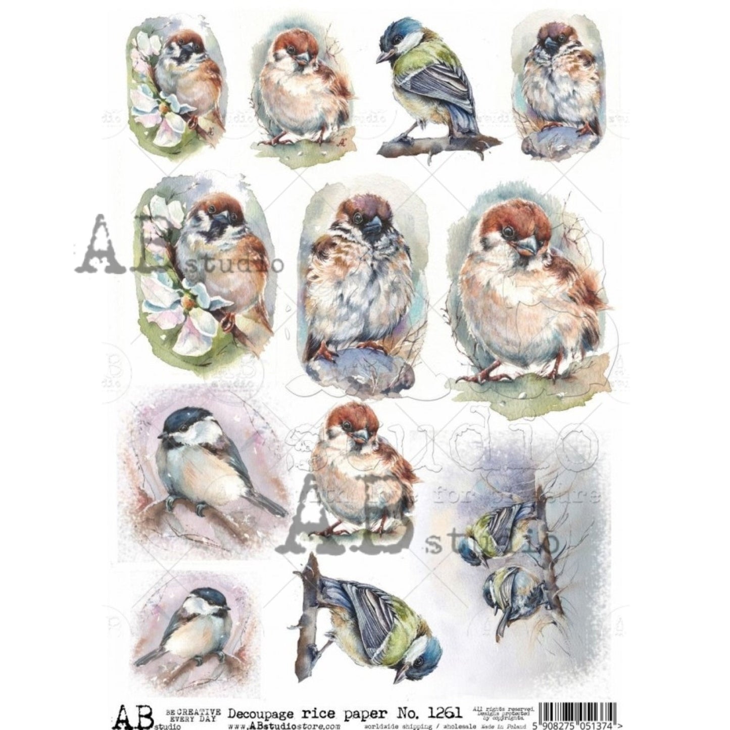 AB Studio Shabby Chic,  Spring, Birds, Squares, 1261, Size: A4 - 8.27 X 11.69 inches Rice Paper Decoupage Imported Poland