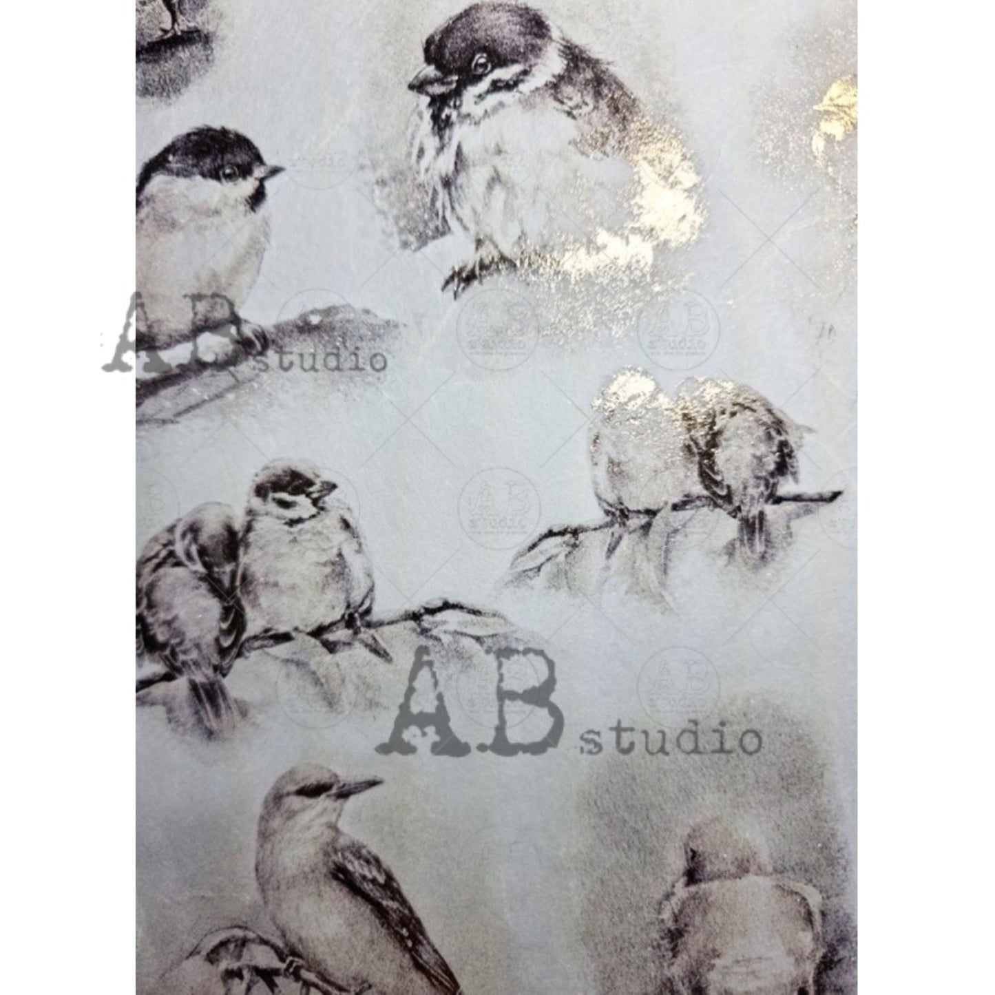 AB Studio Gold Color Gilded Rice Paper for Decoupage, Spring, Baby Birds, Love Birds, Rounds, A4 1573, 8.27 X 11.69" Imported Poland