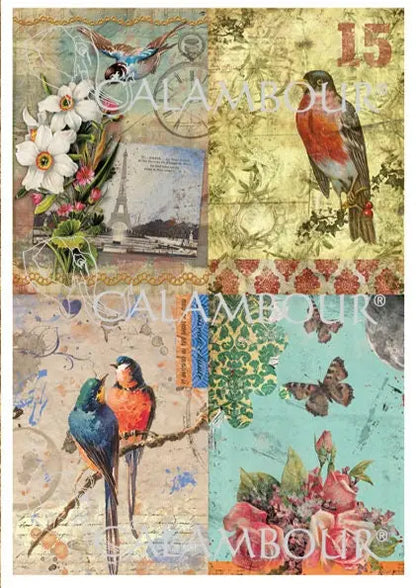 Calambour, Italian Design,  Victorian Collection, Birds, Butterflies, Floral, DGR 58 Mulberry Rice Paper, Decoupage 32 x 45 cm 12.5 x 17 in Calambour