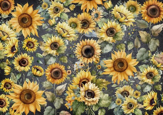 Decoupage Queen, Rice Paper, 2023 Fall Release, DPRP-0489 A4, Decoupage 8.3" X 11.7", Field of Sunflowers, Fall, Autumn, Wallpaper