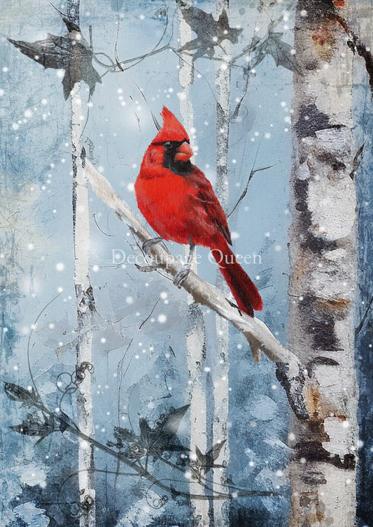 Decoupage Queen, 2023 Winter Release, Christmas, Rice Paper, A4 8.27 X 11.69, Red, Cardinal, Snow, Birch Tree, Scene, Snow Scene, 0519