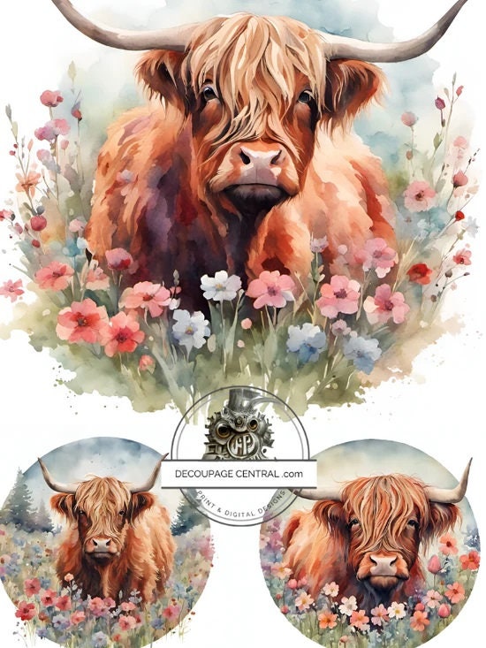 Decoupage Central, Watercolor, Highland, Cow, Circles, colorful, flowers, Rounds, DC197, Rice Paper, Decoupage, Mixed Media, A4 8.27x11.69