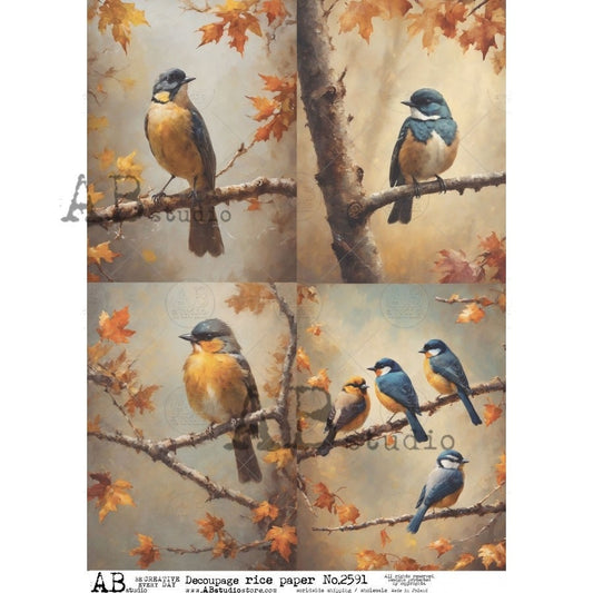 AB Studio, Rice Paper for Decoupage, Romantic, Shabby Chic, Blue Birds, Fall Leaves, Branches, Squares, 2591 A4 8.27 X 11.69 Imported Poland