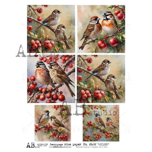 AB Studio, Rice Paper, Shabby Chic, Christmas, Birds, Holly Berries, Ornaments, Squares, ID-2692, Ornaments, A4 8.27x11.69 Decoupage