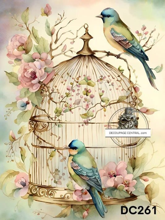 Decoupage Central, Rice Paper, Vintage, Spring, Flowers, Birds, Birdcage, Watercolor, Shabby Chic, DC261,  Mixed Media, A4 8.27x11.69