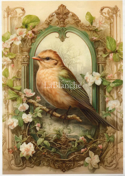 LaBlanche, 2024 Spring Release, Rice Paper, Beautiful, Blue Bird, Frame, Spring Shabby Chic, Squares, Lmt Ed LBD345 A4 8.27 X 11.69 in LaBlanche