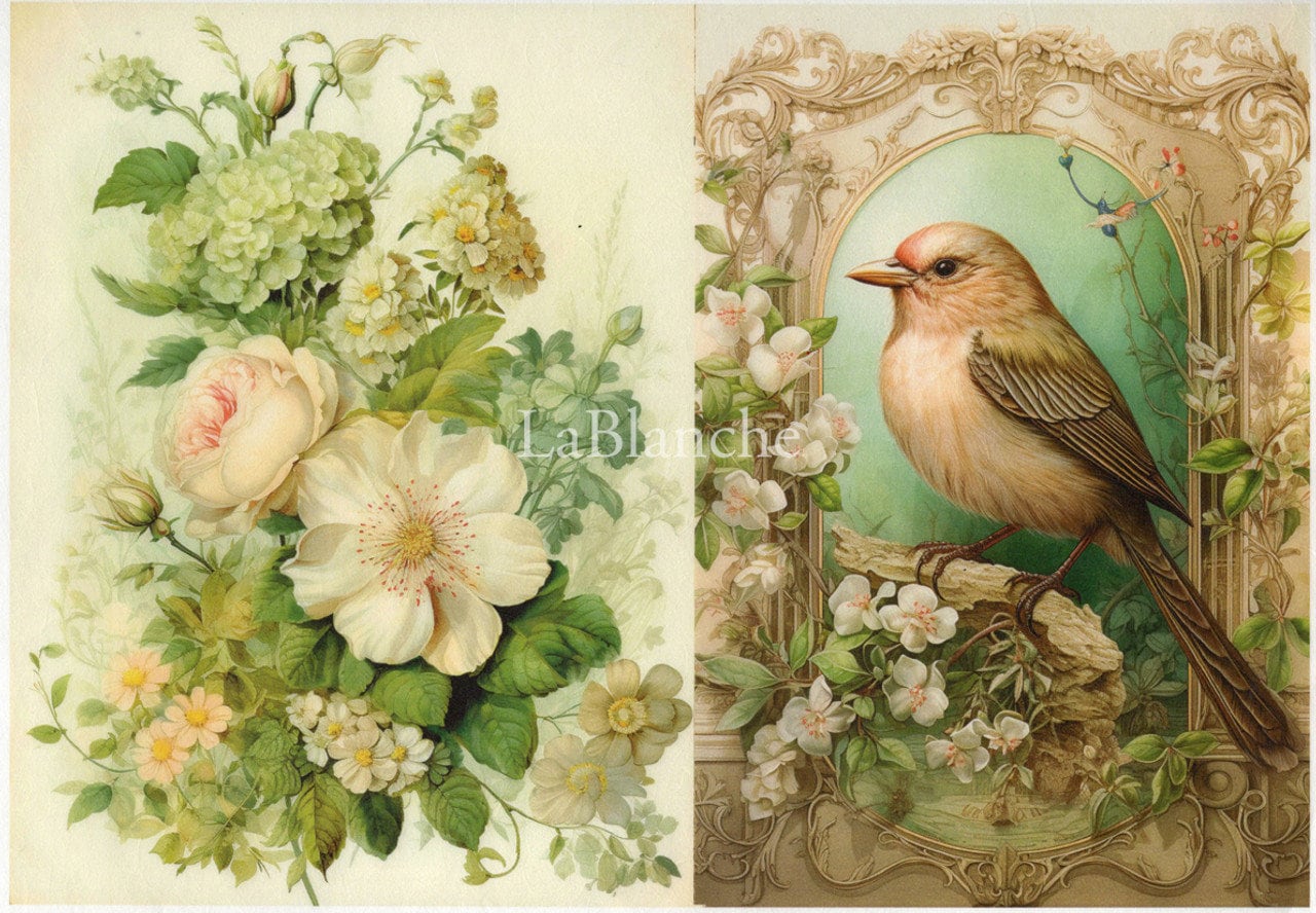 LaBlanche, 2024 Spring Release, Rice Paper, Beautiful, Blue Bird, Frame, Flowers, Bouquet, Shabby Chic, Lmt Ed LBD347 A4 8.27 X 11.69 in