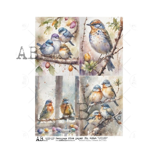 AB Studio, Rice Paper for Decoupage, Watercolor, Shabby Chic, Birds, Antique Style, Squares, ID-4864 A4 8.27 x 11.69, Imported Poland