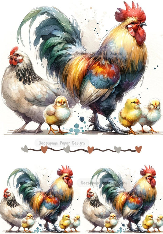 Decoupage Creatives, Rice Paper, Rooster, Family, Chickens, Chics, Country, Mixed Media, Squares, A4 8.27 X 11.69, DPD-462