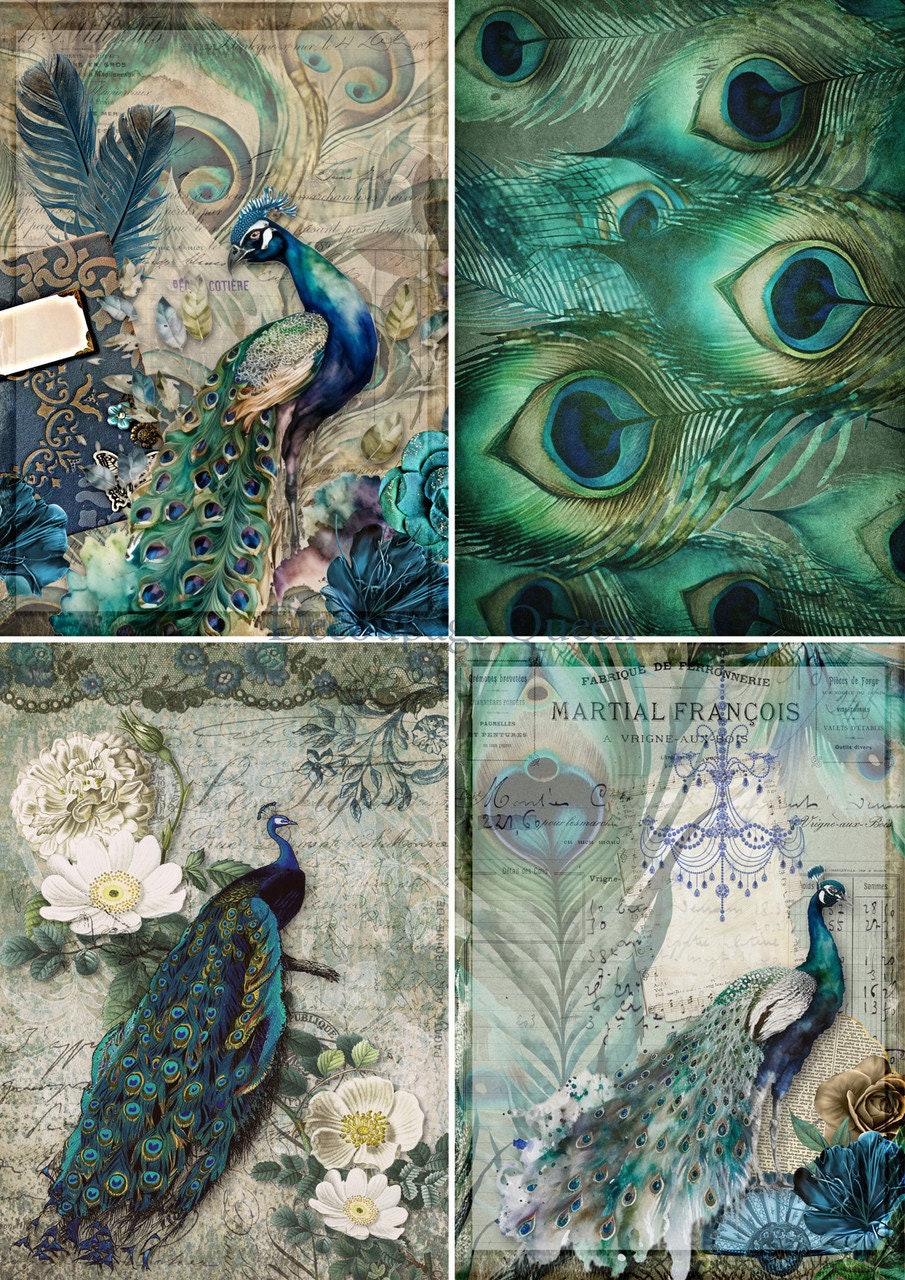 Decoupage Queen, Rice Paper, 2024 Spring Release, Peacocks, 4 pack, Feathers, Blue, Green, 0566, Squares, A4 8.3" X 11.7"