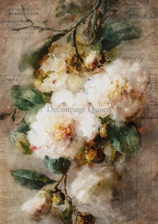 Decoupage Queen, Camelia, Peonies, Flowers, Vintage Painting, Rice Paper, DQRP 0149 A4 - 8.3" X 11.7" Rice Paper for Decoupage