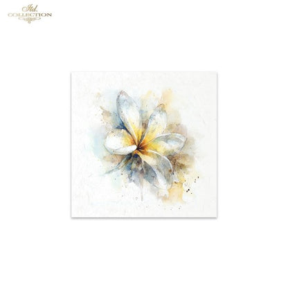 ITD Collection Rice Paper, Mini Set, Watercolor Tropical Flowers Motifs, 6 Sheets, 5x8, Decoupage, Mixed Media